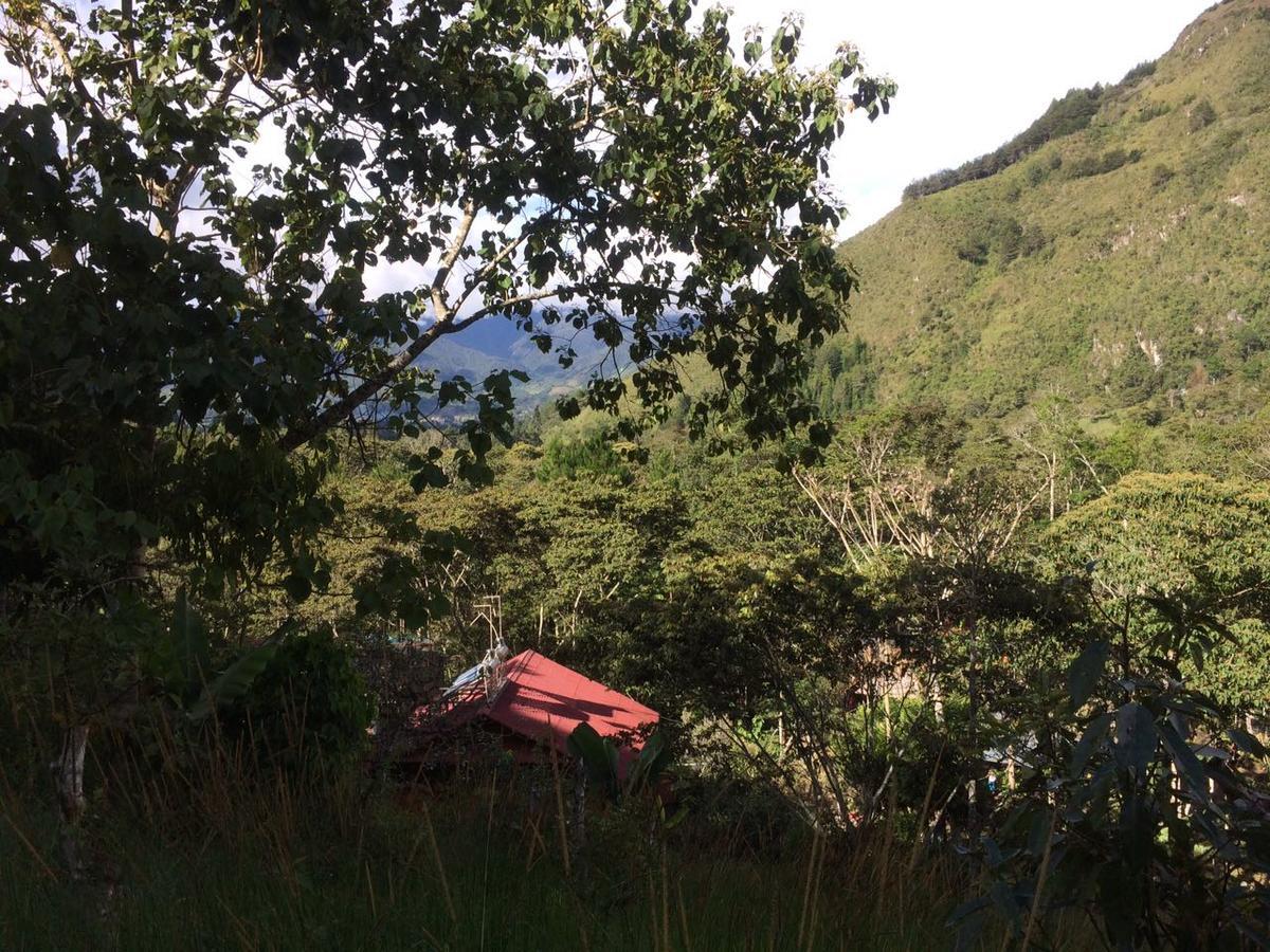 Illariy Tampu Ecoalbergue Oxapampa Zewnętrze zdjęcie